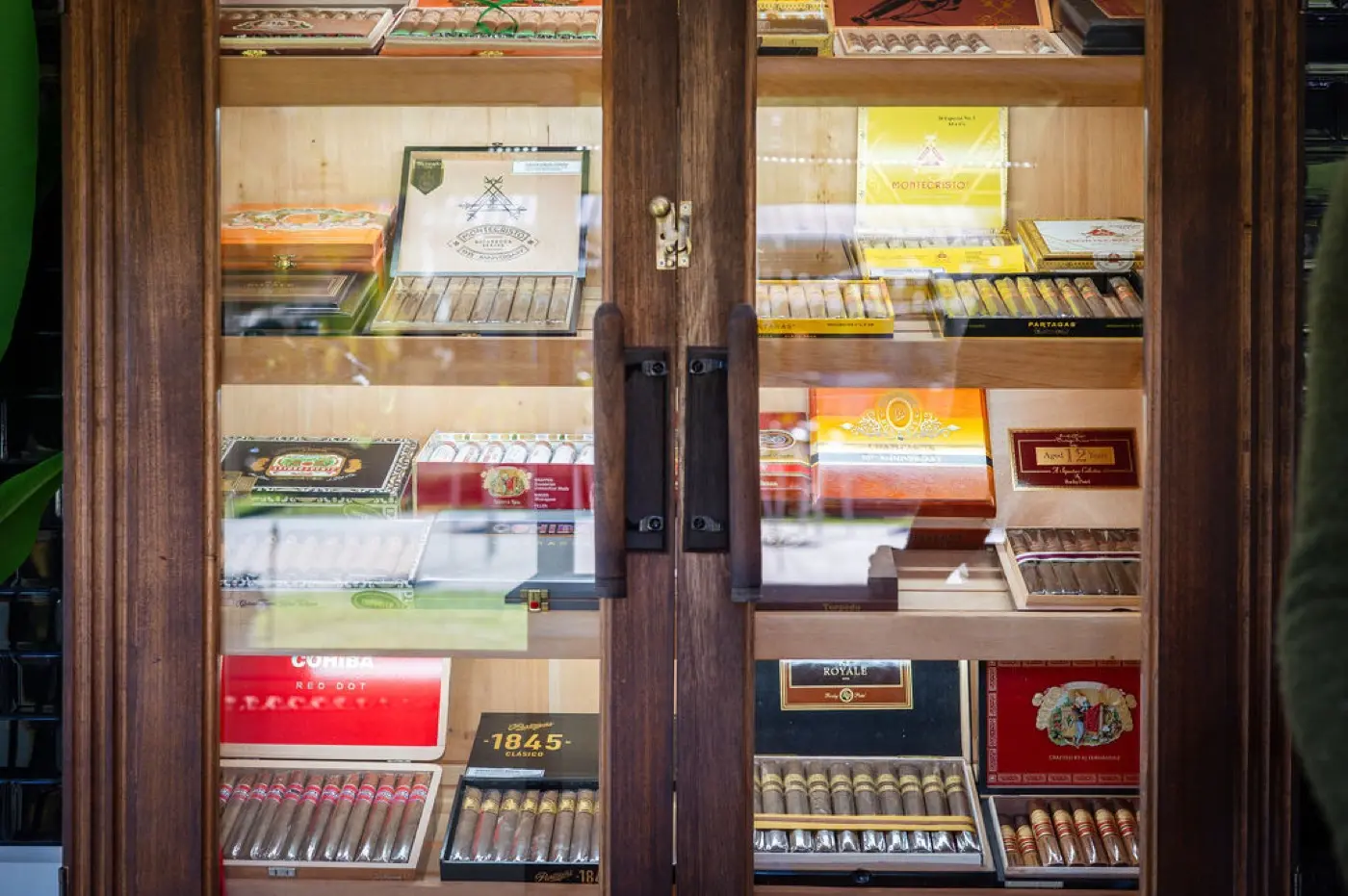 Fire and Ash Havana Nights event