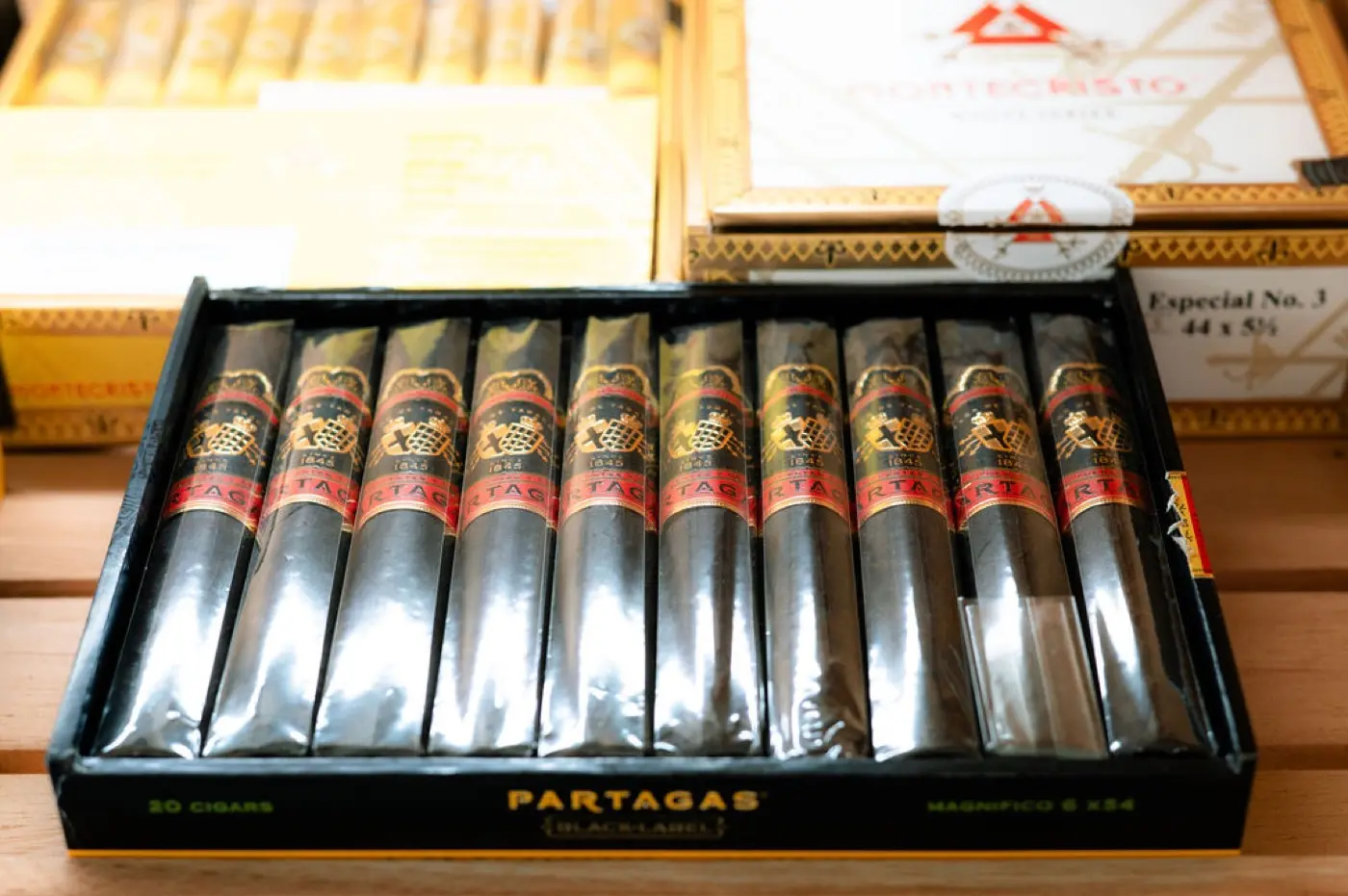 Fire and Ash Havana Nights event