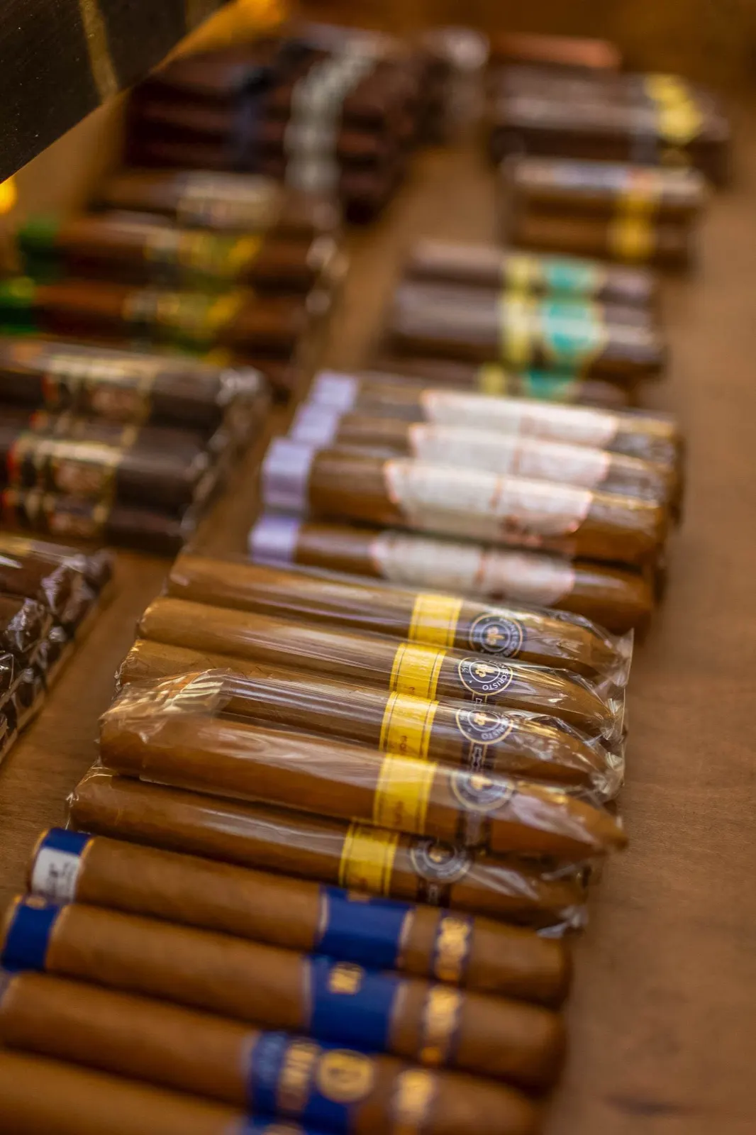 Rows of premium cigars in the Fire and Ash humidor